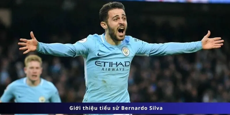 Giới thiệu tiểu sử Bernardo Silva