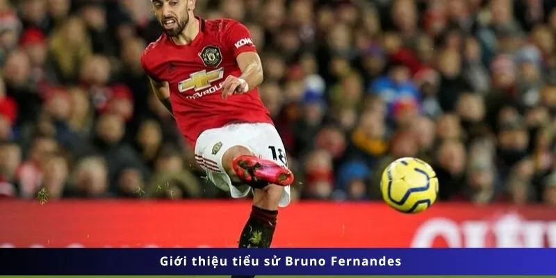 Giới thiệu tiểu sử Bruno Fernandes