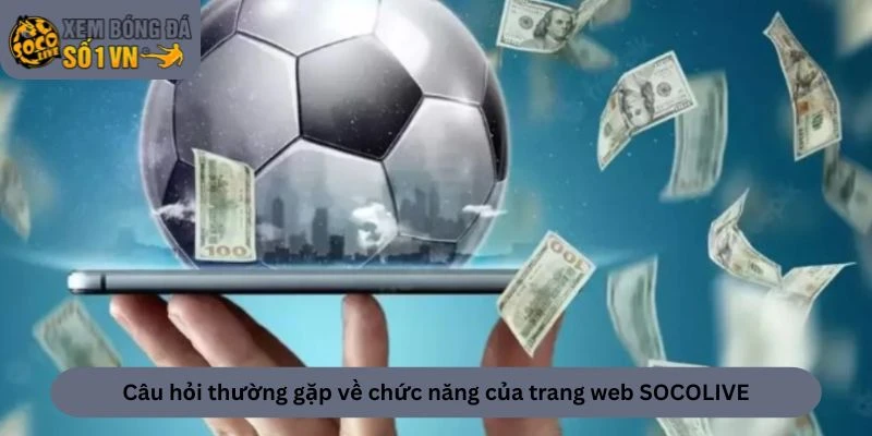 Câu hỏi thường gặp về chức năng của trang web